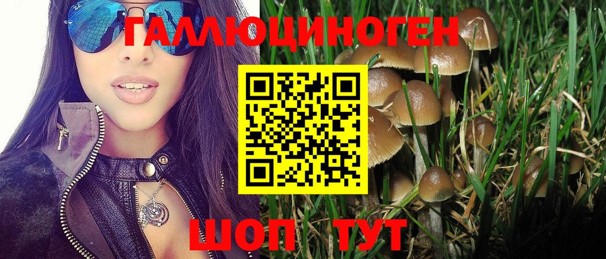 Псилоцибиновые грибы ЛСД  Вход с VPN  Мариинск 